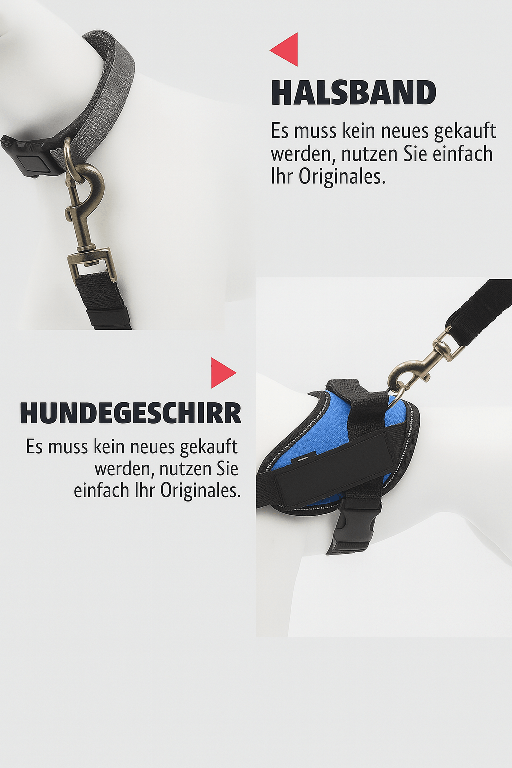 Hundesicherheitsgurt fürs Auto - wagnershop24.com
