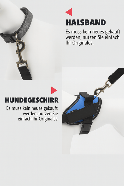 Hundesicherheitsgurt fürs Auto - wagnershop24.com